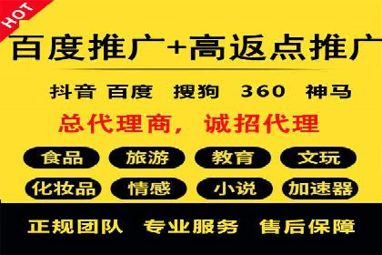 百度SEO推广成功案例：品牌知名度提升